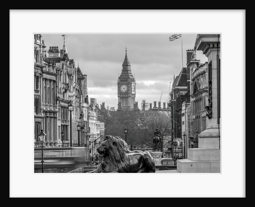 Trafalgar Square, London by Assaf Frank